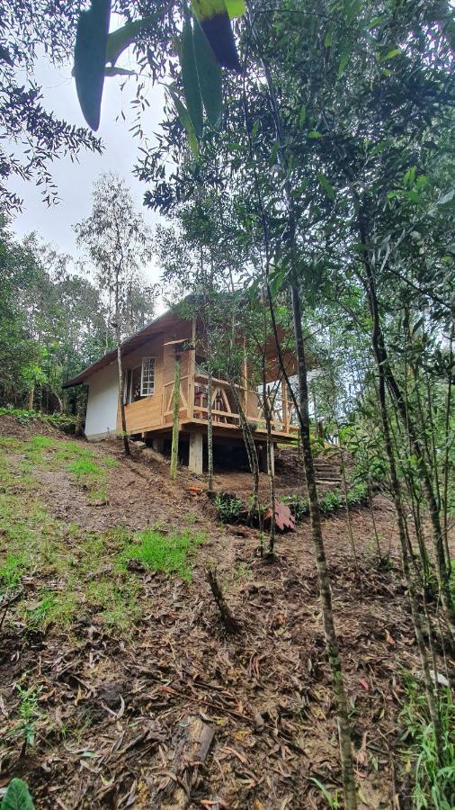 Cabanas Piedemonte Santa Elena (Antioquia) Exterior foto