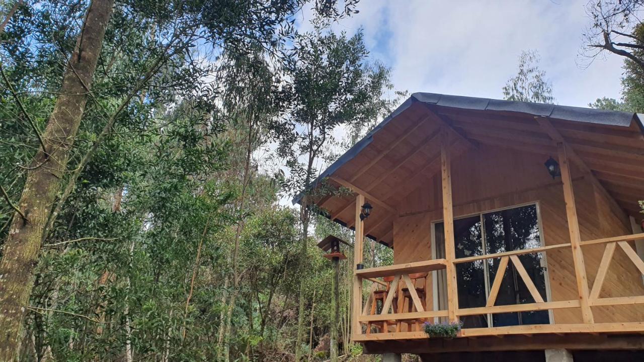 Cabanas Piedemonte Santa Elena (Antioquia) Exterior foto