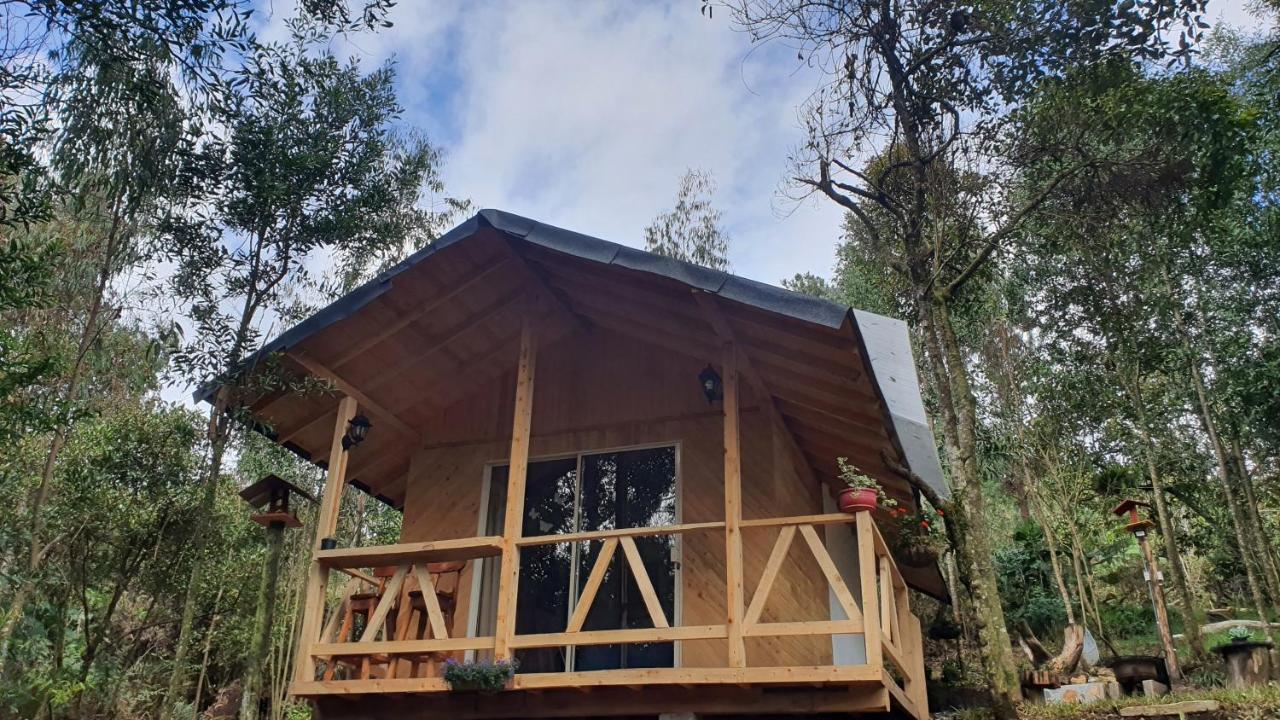 Cabanas Piedemonte Santa Elena (Antioquia) Exterior foto